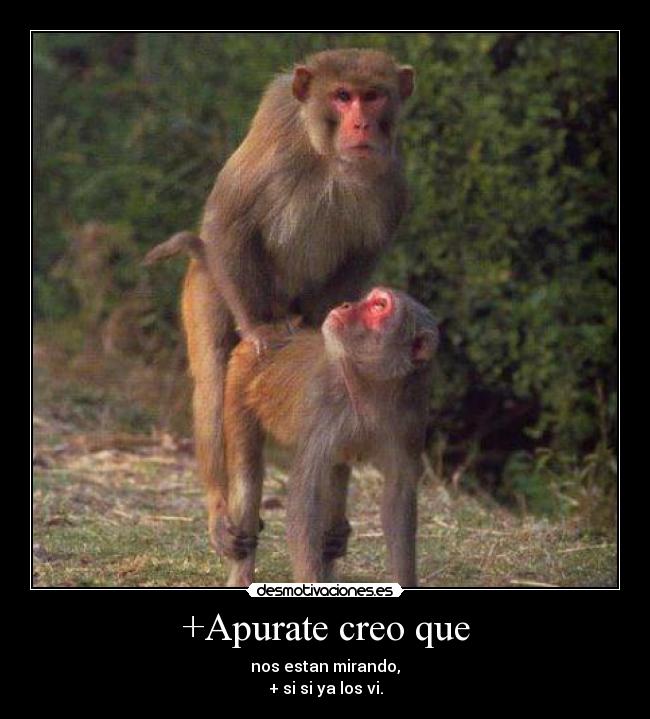 +Apurate creo que - nos estan mirando,
+ si si ya los vi.