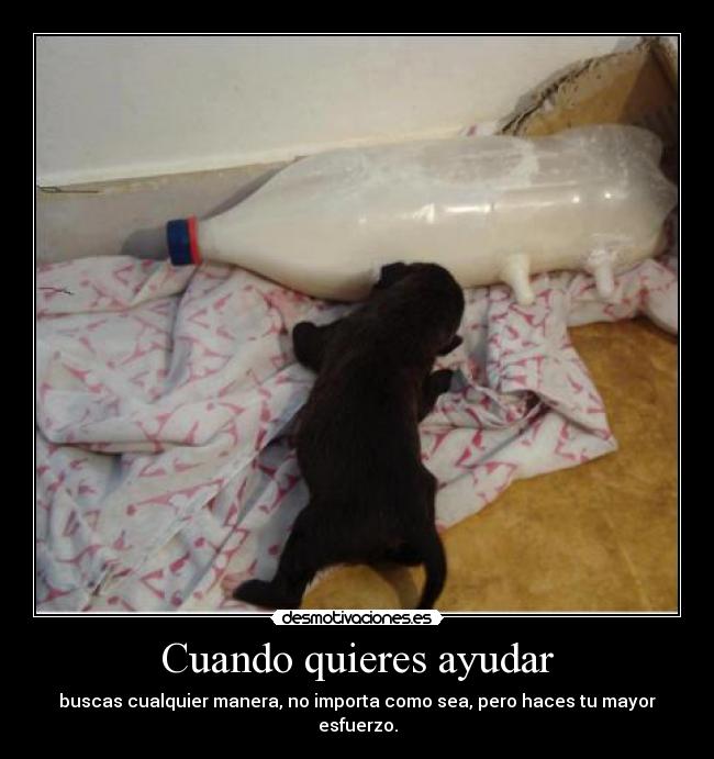 carteles ayuda viene quien menos espera asi que deja robar wifi desmotivaciones