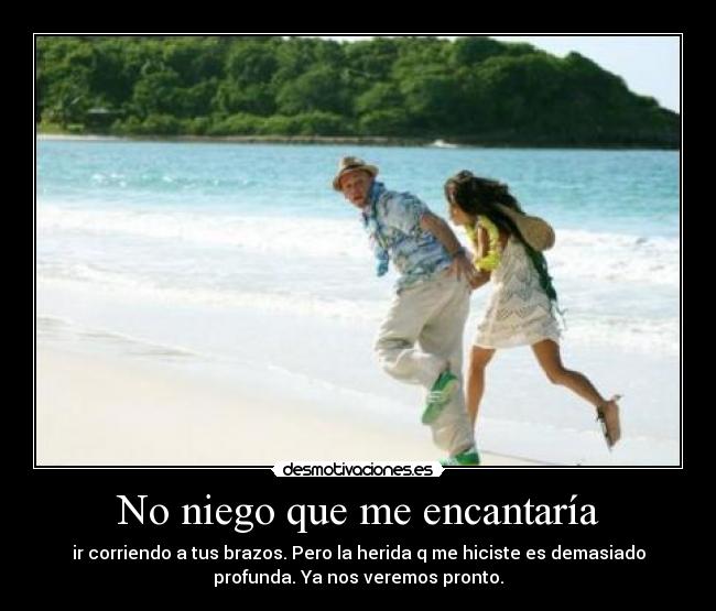 No niego que me encantaría - 