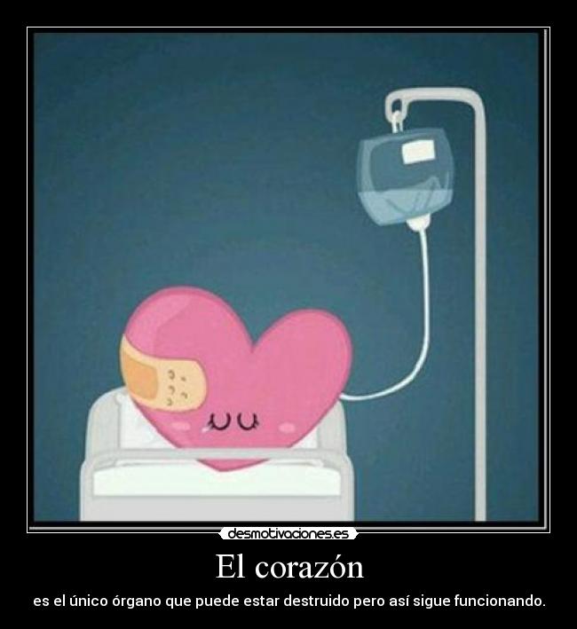 El corazón -