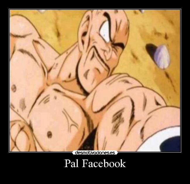 Pal Facebook - 