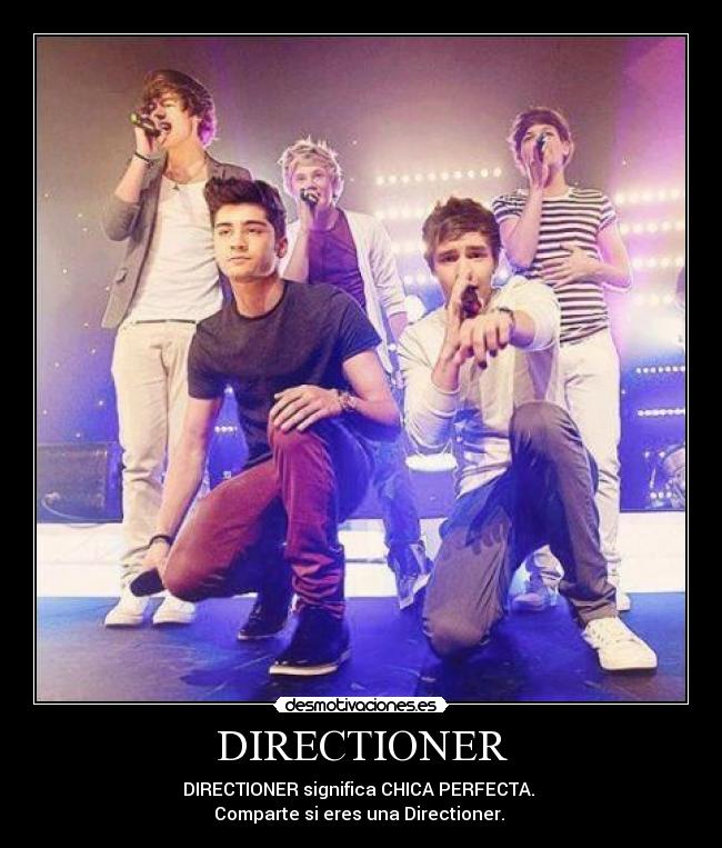 DIRECTIONER -