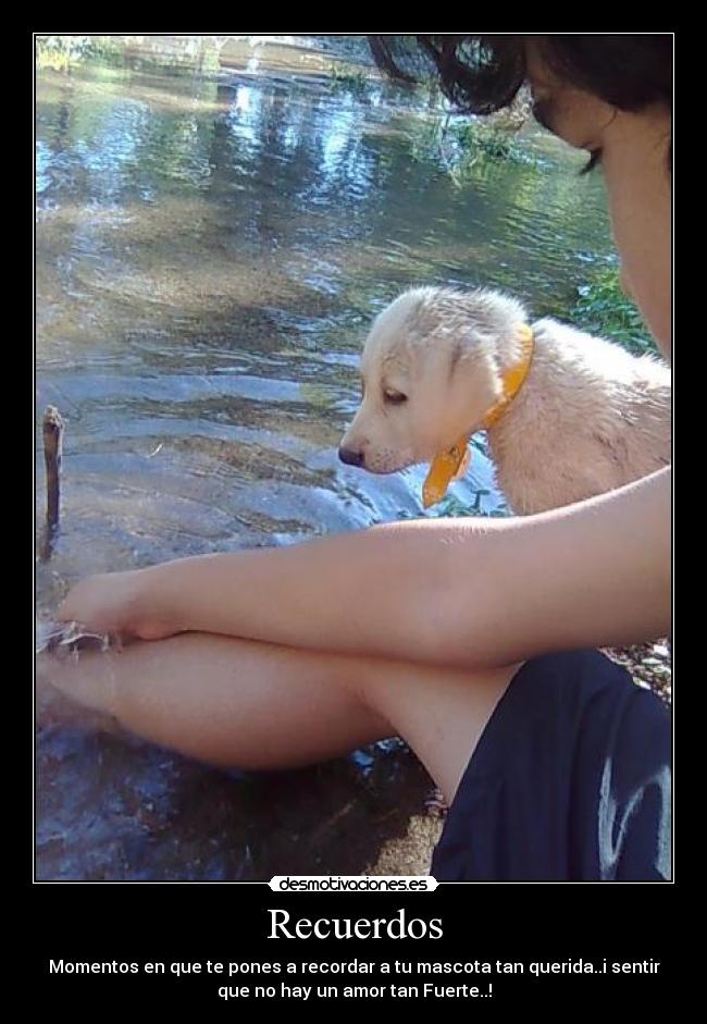 Recuerdos - Momentos en que te pones a recordar a tu mascota tan querida..i sentir
que no hay un amor tan Fuerte..!