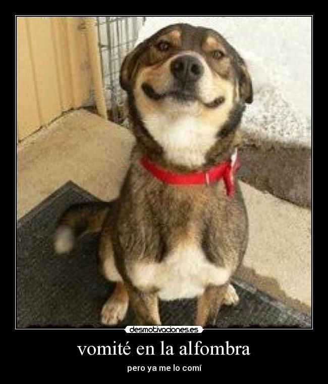vomité en la alfombra - pero ya me lo comí
