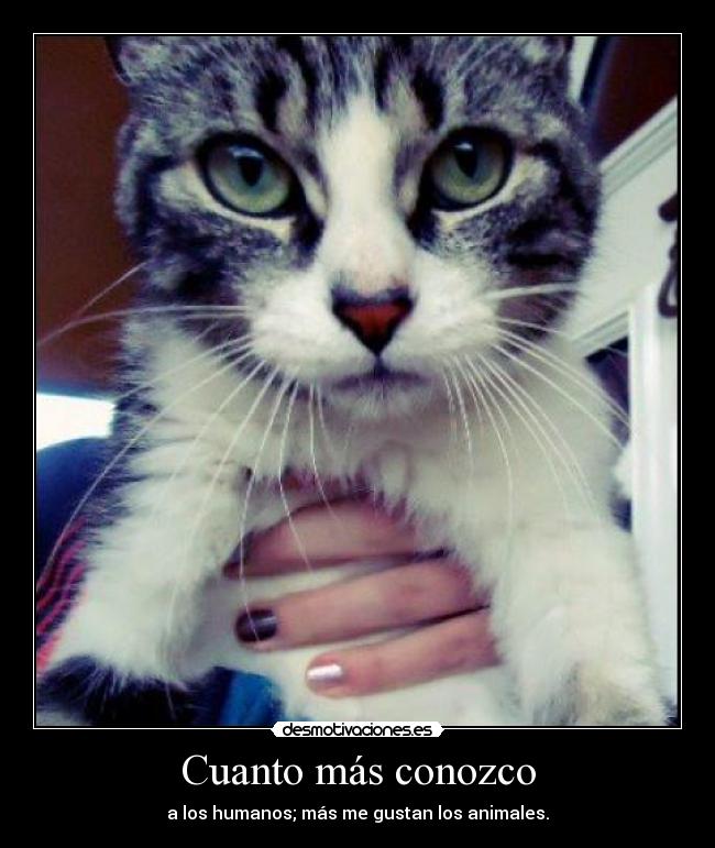 Cuanto más conozco - a los humanos; más me gustan los animales.
