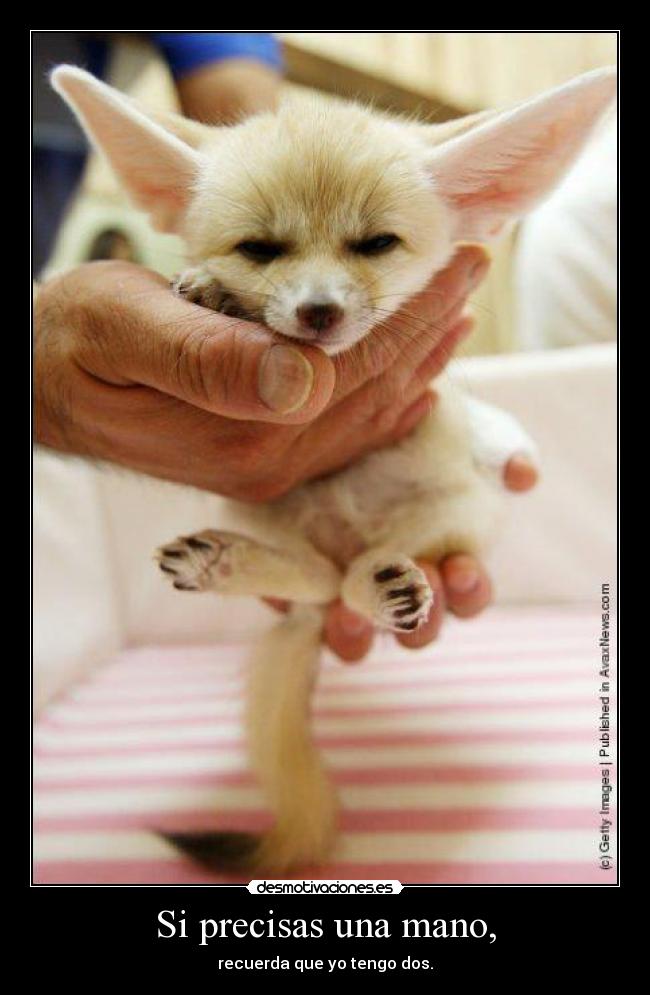 carteles precisas desmotivaciones