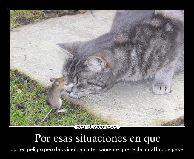 Por esas situaciones en que - corres peligro pero las vises tan intensamente que te da igual lo que pase.