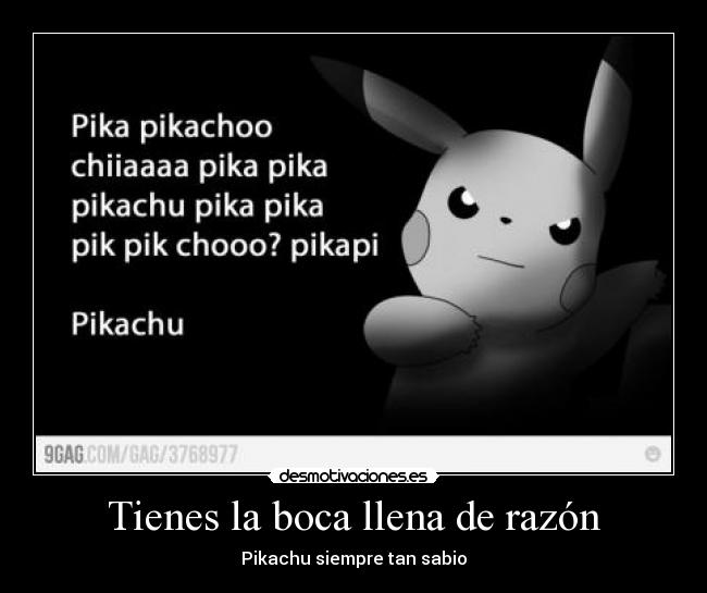 Tienes la boca llena de razón - 