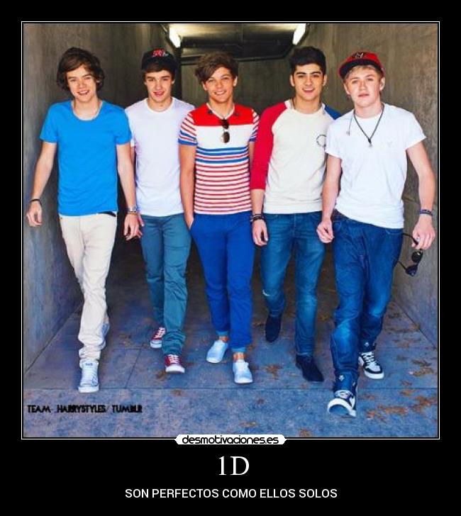 1D - SON PERFECTOS COMO ELLOS SOLOS