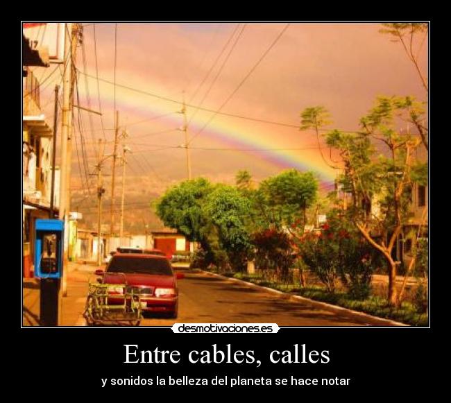 Entre cables, calles - y sonidos la belleza del planeta se hace notar