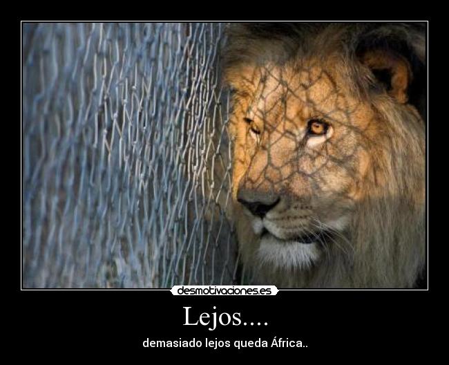 Lejos.... - demasiado lejos queda África..