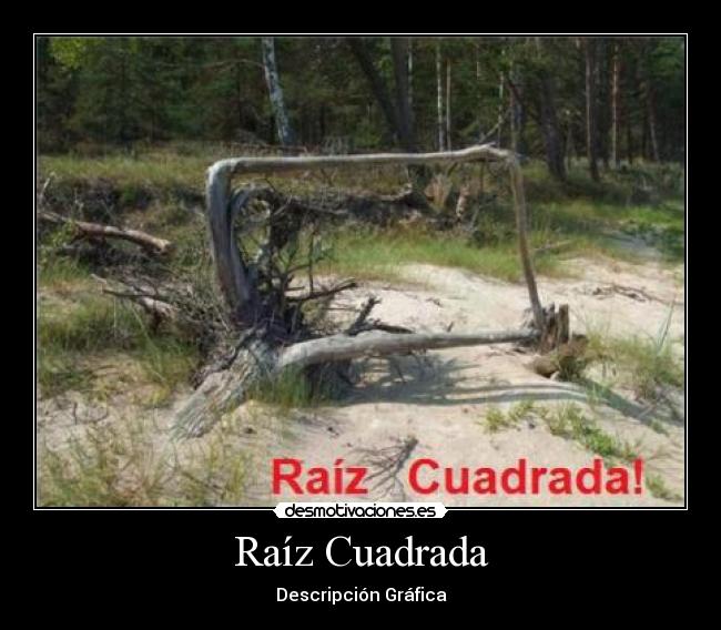 Raíz Cuadrada - Descripción Gráfica