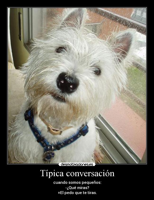 Típica conversación - cuando somos pequeños:
-¿Qué miras?
+El pedo que te tiras.