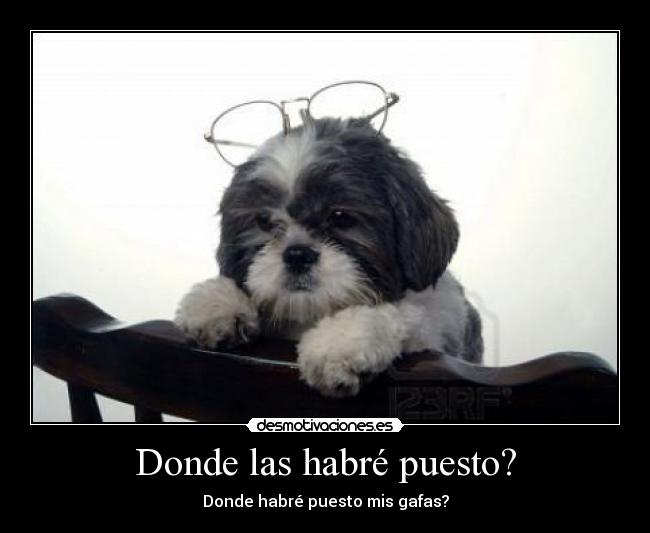 Donde las habré puesto? - Donde habré puesto mis gafas?