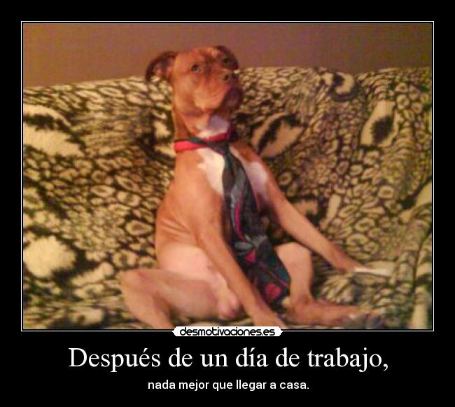 Después de un día de trabajo, - nada mejor que llegar a casa.