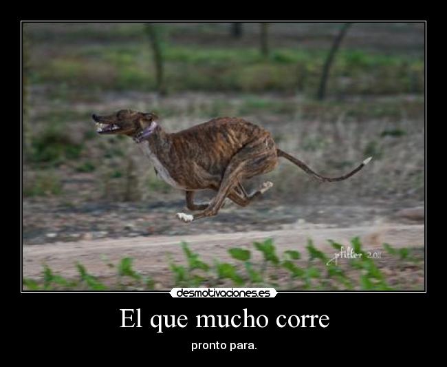 El que mucho corre - pronto para.