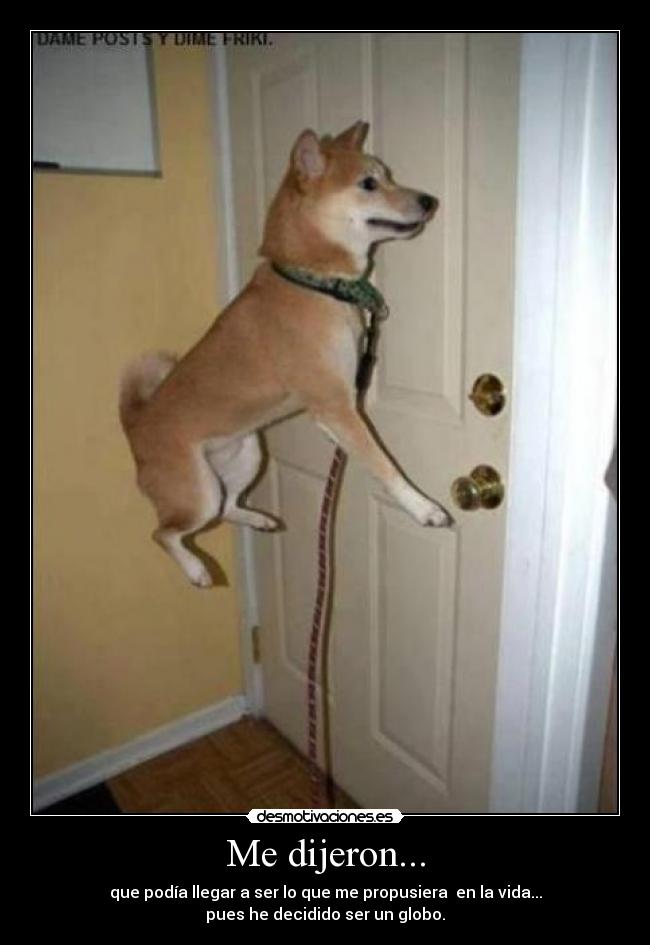 Me dijeron... - que podía llegar a ser lo que me propusiera en la vida...
pues he decidido ser un globo.