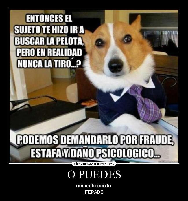 O PUEDES - acusarlo con la
FEPADE