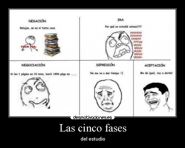 Las cinco fases - 