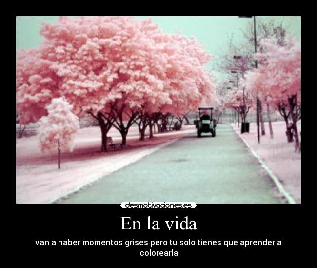 En la vida - van a haber momentos grises pero tu solo tienes que aprender a colorearla
