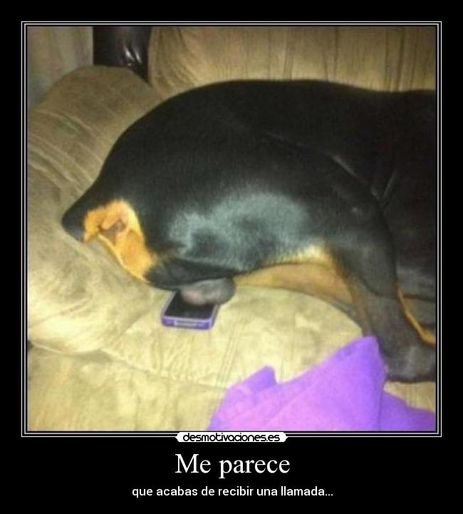 Me parece -