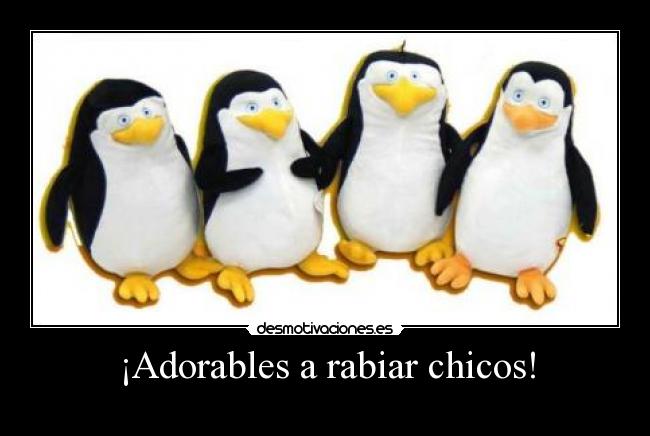 ¡Adorables a rabiar chicos! - 