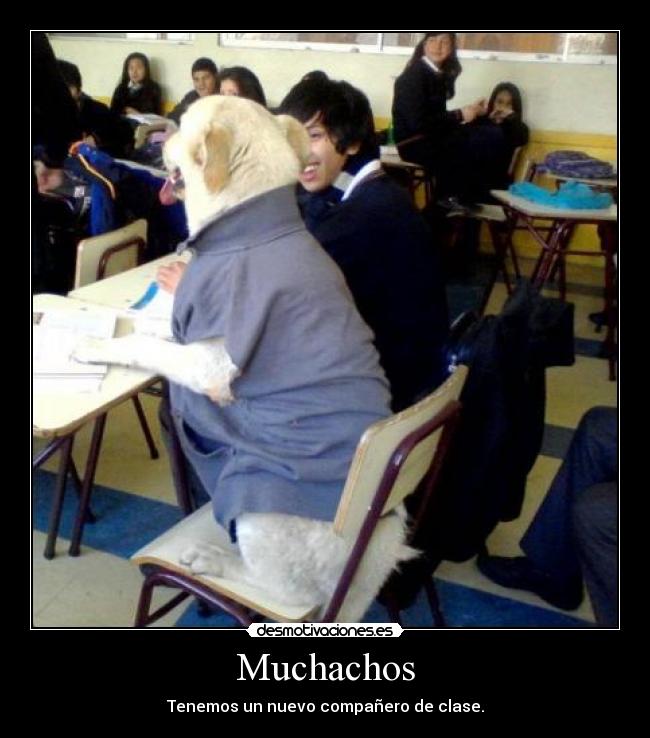 Muchachos - Tenemos un nuevo compañero de clase.