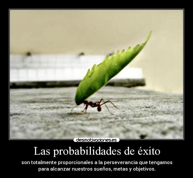 Las probabilidades de éxito - son totalmente proporcionales a la perseverancia que tengamos
para alcanzar nuestros sueños, metas y objetivos.
