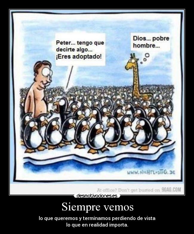 Siempre vemos - lo que queremos y terminamos perdiendo de vista
lo que en realidad importa.