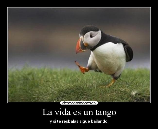 La vida es un tango - y si te resbalas sigue bailando.