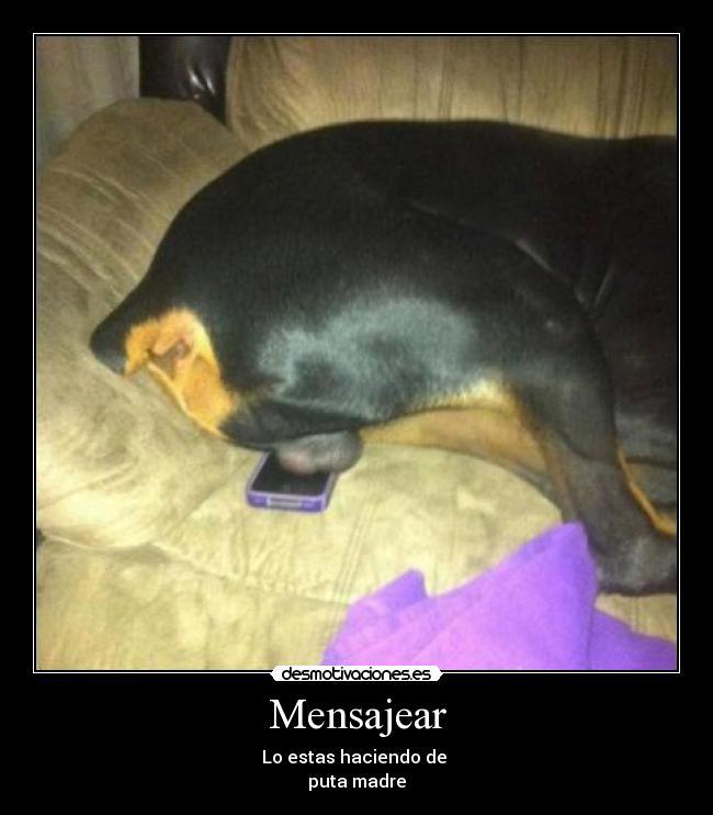 carteles osvaldo desmotivaciones