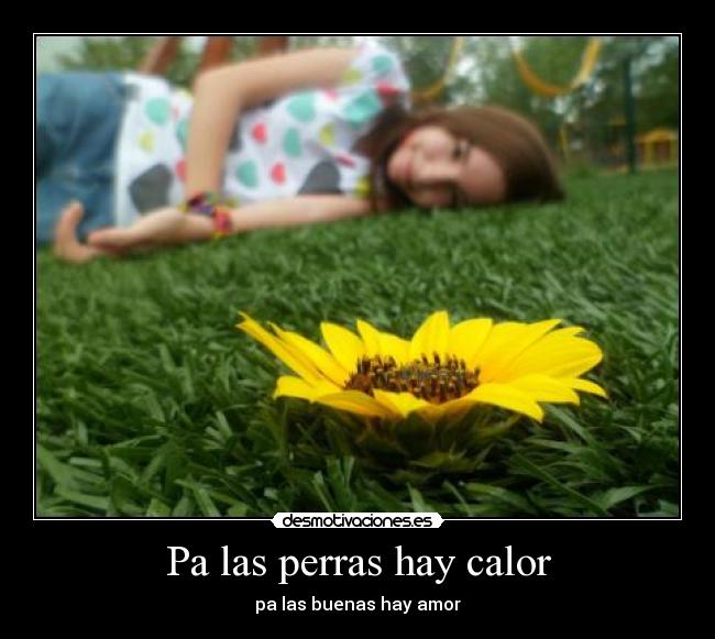 Pa las perras hay calor - pa las buenas hay amor