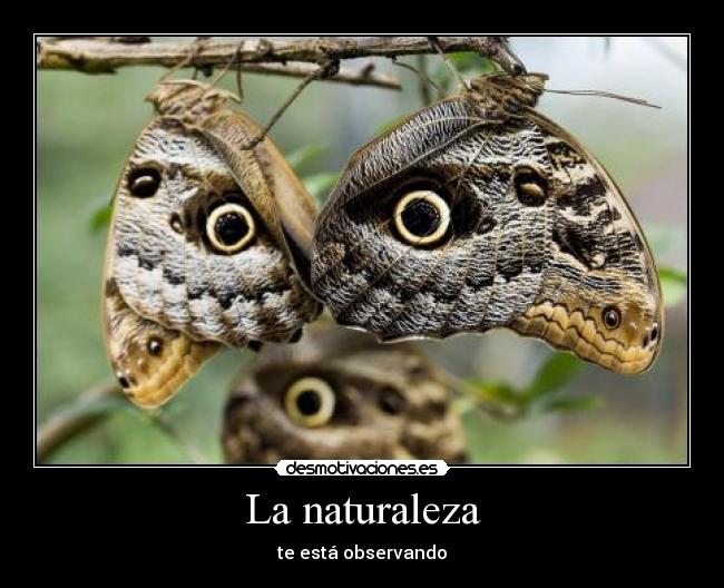 La naturaleza -