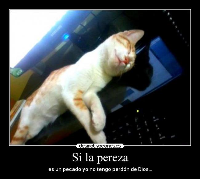 carteles sin etiquetas desmotivaciones