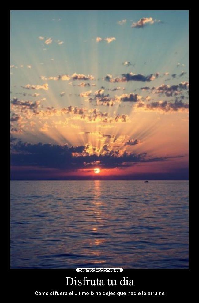 carteles pyy desmotivaciones