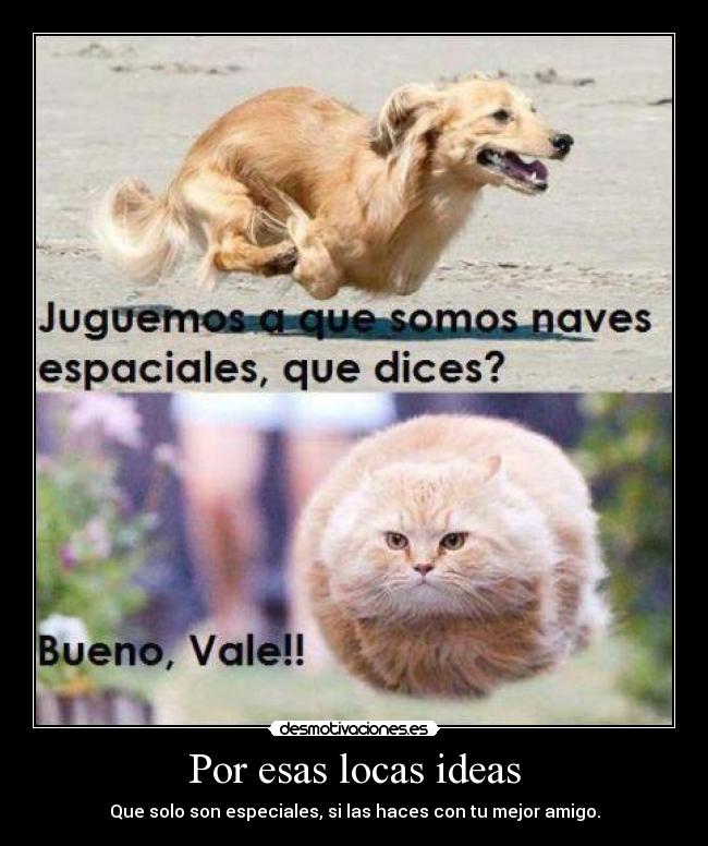 Por esas locas ideas - Que solo son especiales, si las haces con tu mejor amigo.