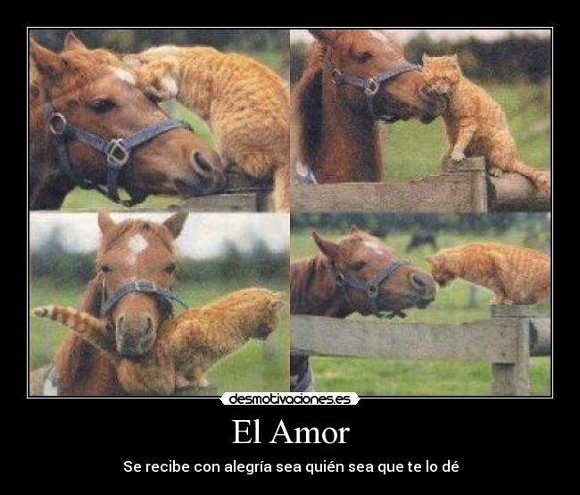 El Amor - Se recibe con alegría sea quién sea que te lo dé