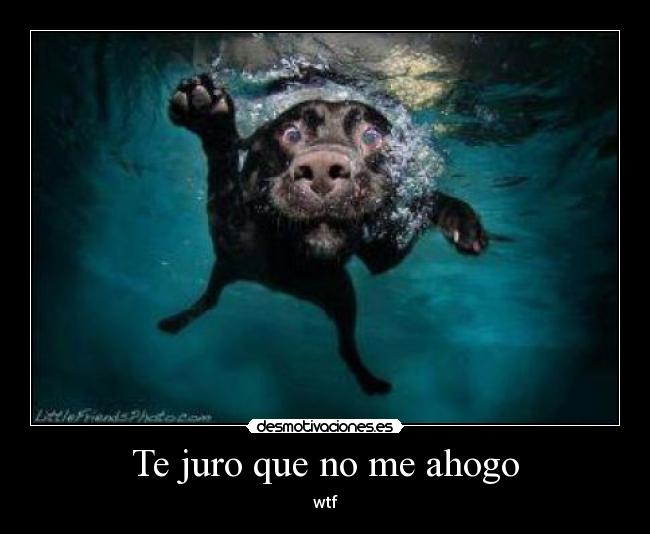 Te juro que no me ahogo - wtf