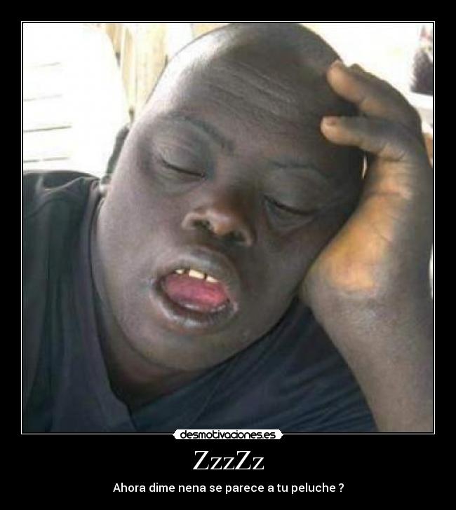 carteles zzzzzzz desmotivaciones