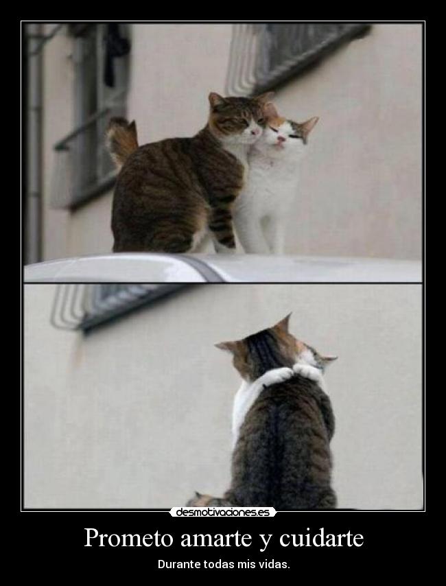 Prometo amarte y cuidarte - Durante todas mis vidas.