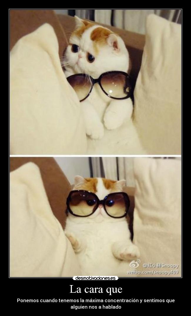 La cara que - Ponemos cuando tenemos la máxima concentración y sentimos que
alguien nos a hablado