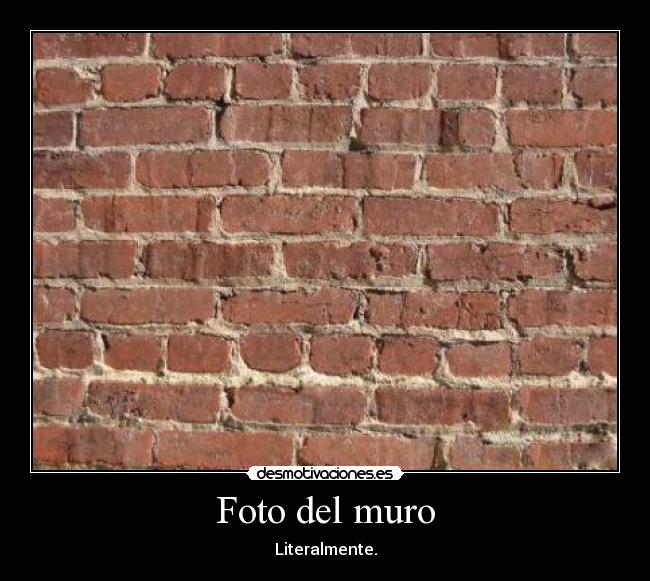 Foto del muro - Literalmente.