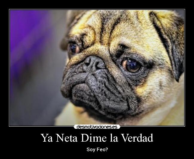 Ya Neta Dime la Verdad - 