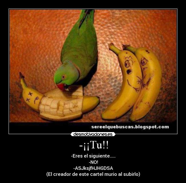 -¡¡Tu!! -