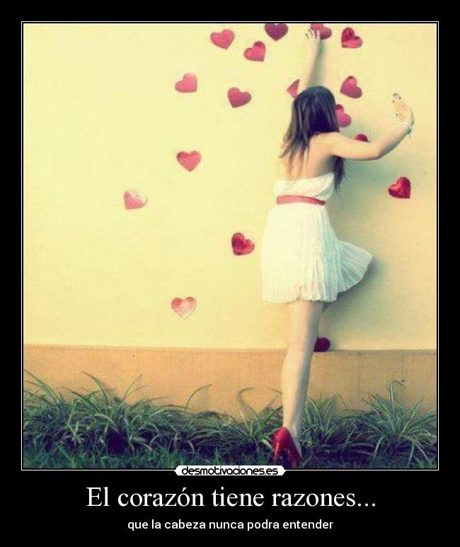 carteles corazon corazon amor razon razones cabeza nunca poder entender novios triste desamor desmotivaciones
