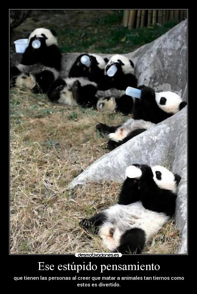 Ese estúpido pensamiento - que tienen las personas al creer que matar a animales tan tiernos como
estos es divertido.