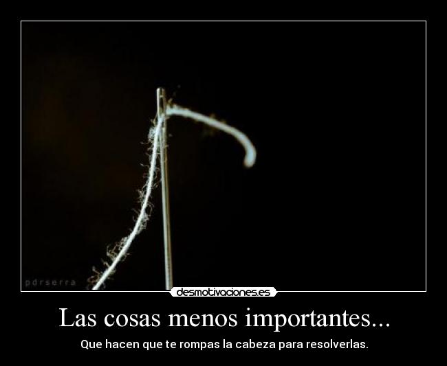 Las cosas menos importantes... - 