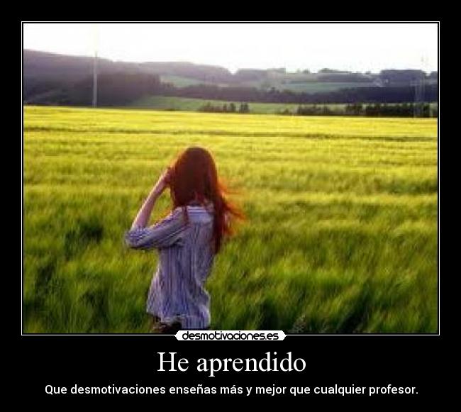 carteles aprendido desmotivaciones