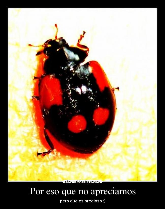 Por eso que no apreciamos -