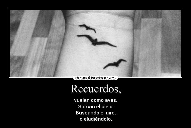 Recuerdos, - vuelan como aves.
Surcan el cielo.
Buscando el aire,
o eludiéndolo.
